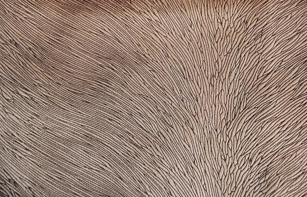 Hide Velvet Oatmeal Fabric