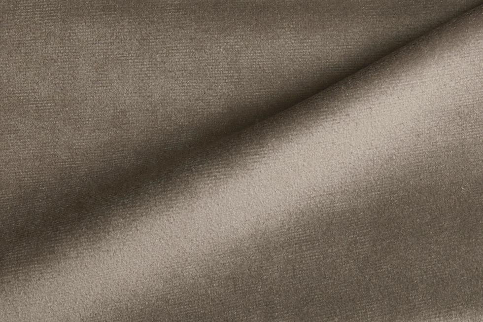 Paris Velvet Mouse Fabric