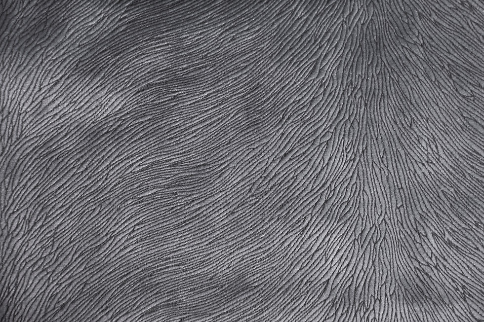 Hide Velvet Slate Fabric