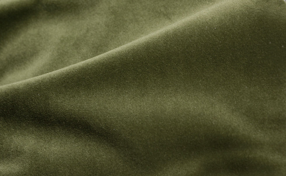 Cozy Velvet Moss Green Fabric
