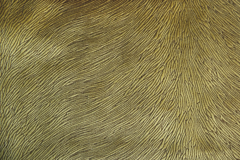 Hide Velvet Kiwi Fabric