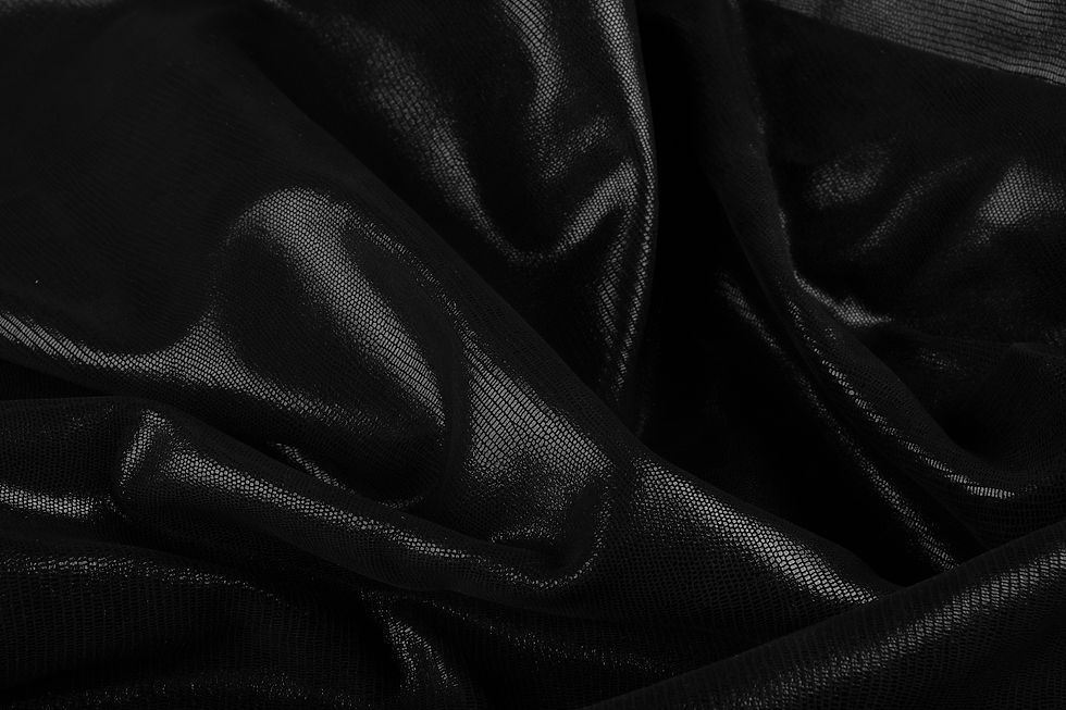 Salamander Black Leather