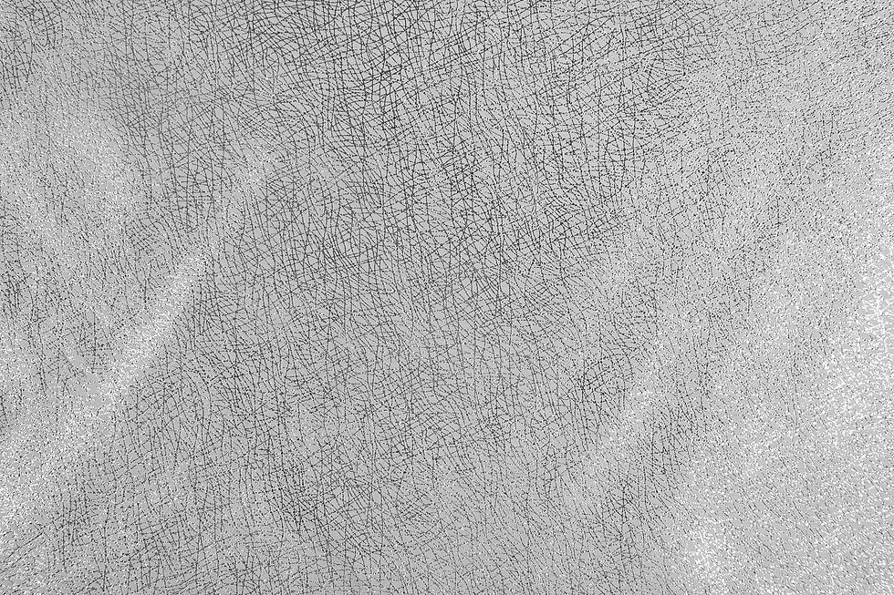Glamour Silver Leather