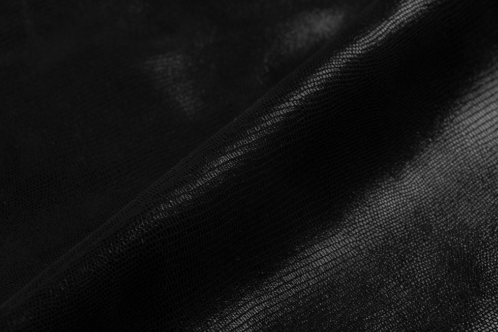Salamander Black Leather