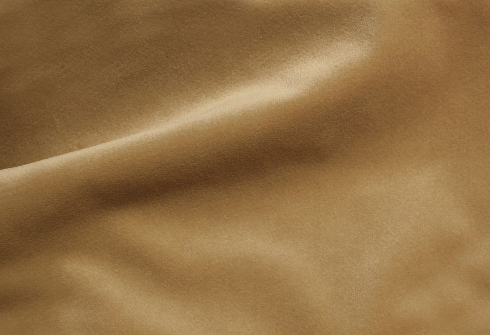 Cozy Velvet Latte Fabric