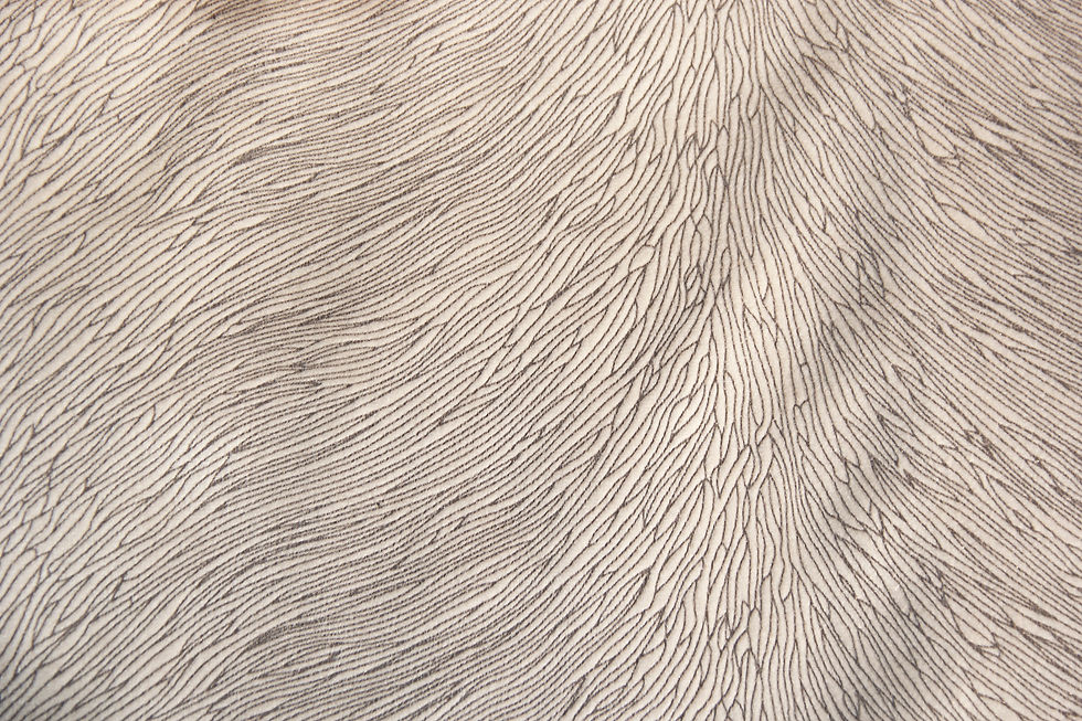 Hide Velvet Ivory Fabric