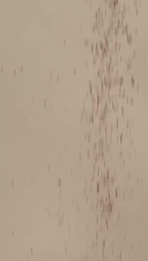 Thumbnail: Custom Coffee Art Stencils - Set of 2