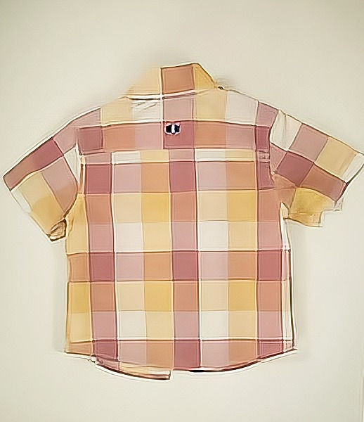 Thumbnail: Check shirt.
