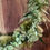 Miniature : Douceur des bois - Couronne de fleurs séchées & stabilisées