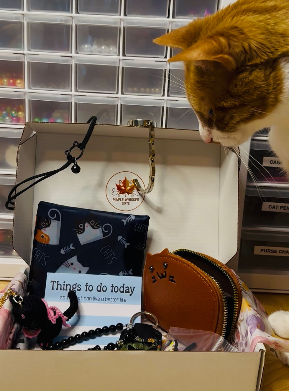 Eye-level view of a cozy cat-themed gift bundle with socks, mugs, and toys