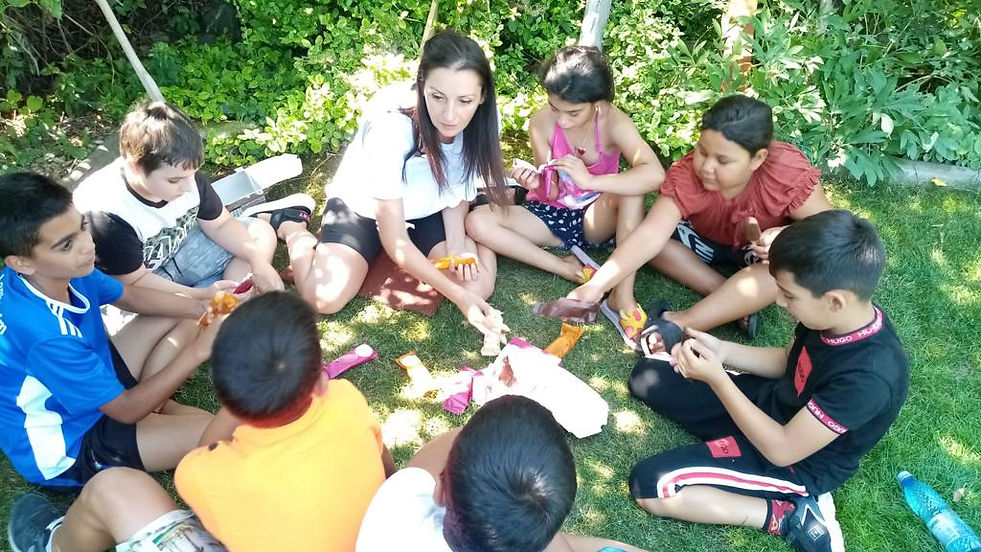 Ziua Națională a voluntariatului