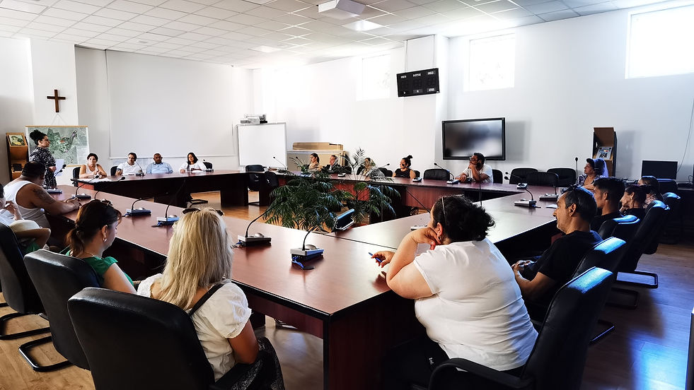 Sesiuni de curs