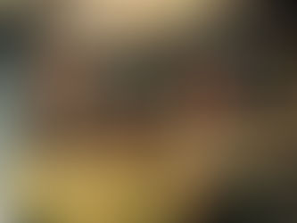 17. März 2017 – Die Weinkiste kocht Feinstes von meineWeideGans