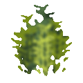 giphy (4).gif