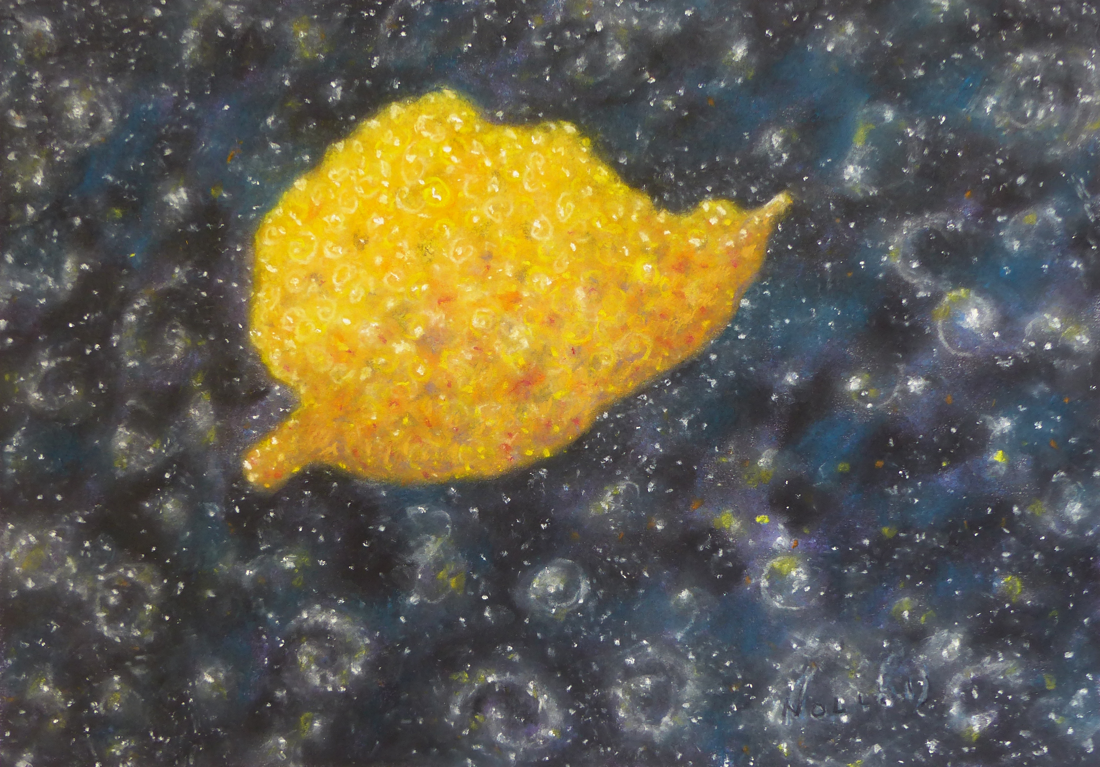 Etrog in Space