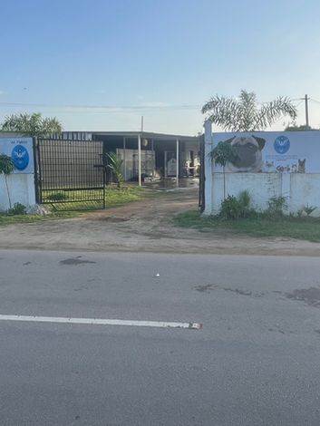 Centre for Veterinary & animal Welfare