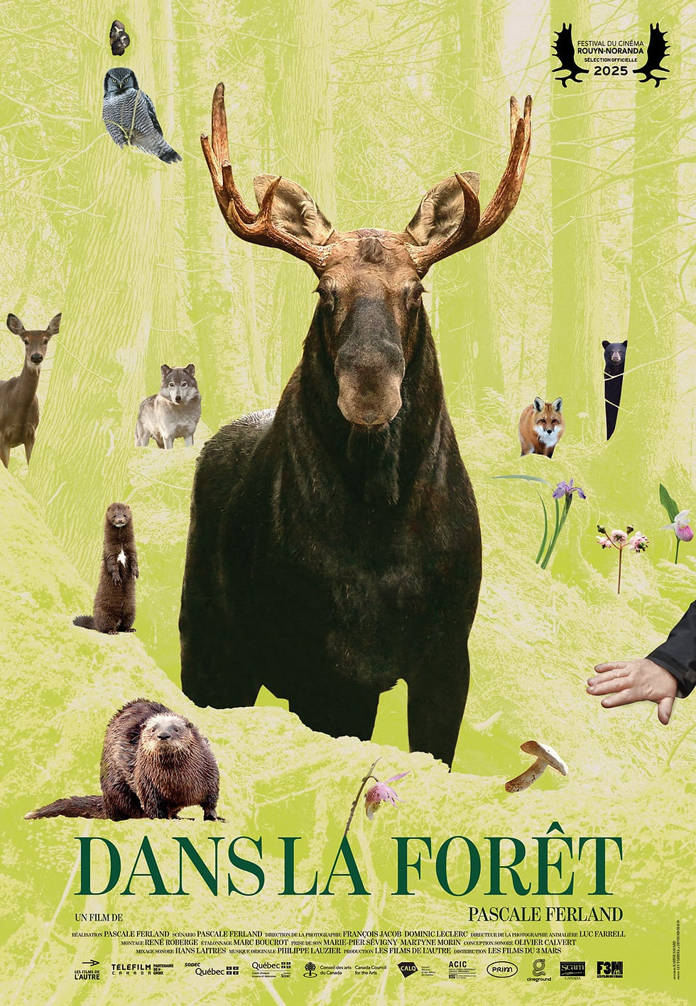 AFF_Dans_la_foret.jpg