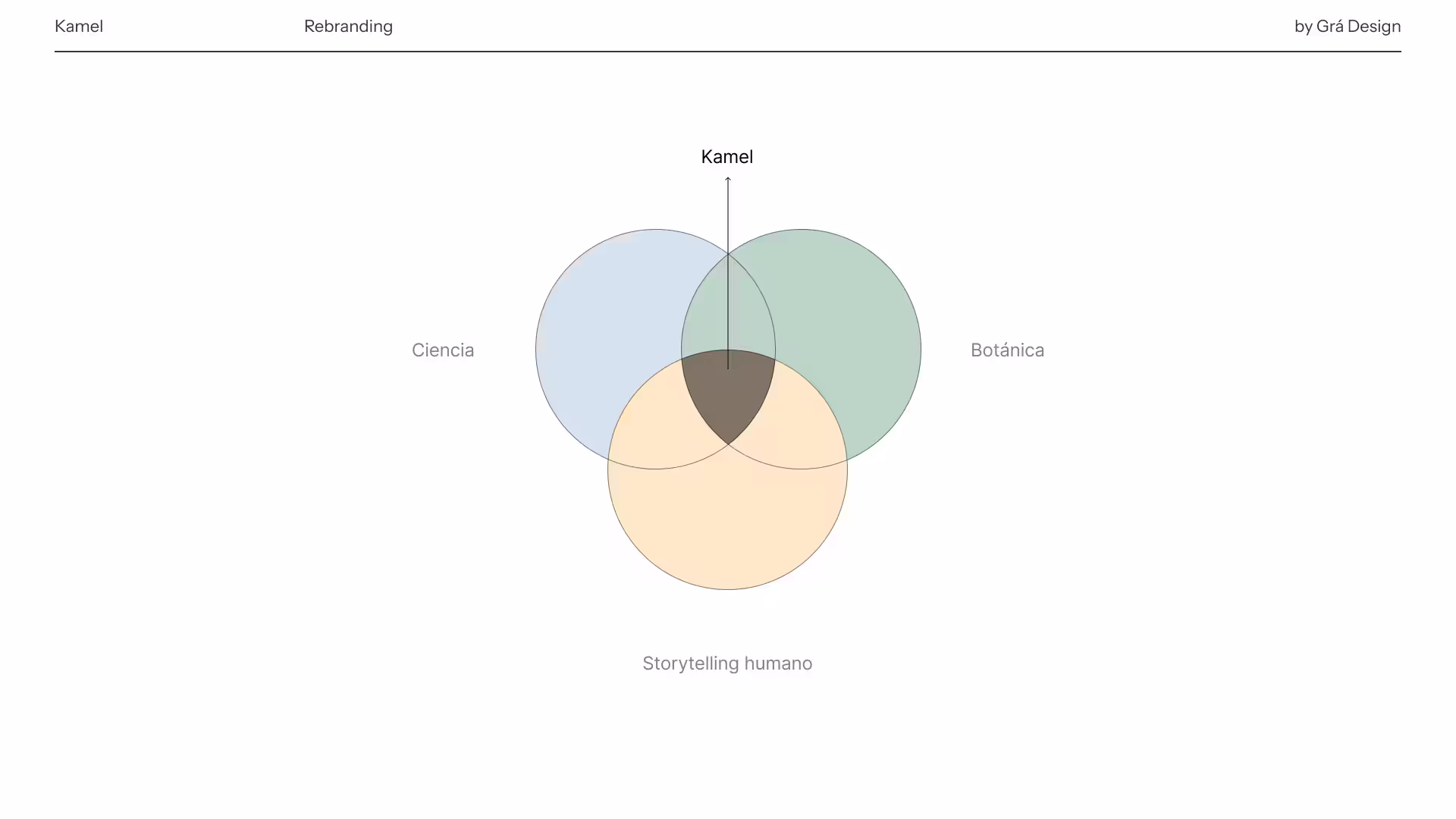 posicionamiento-de-marca-estrategia-de-branding-8.avif