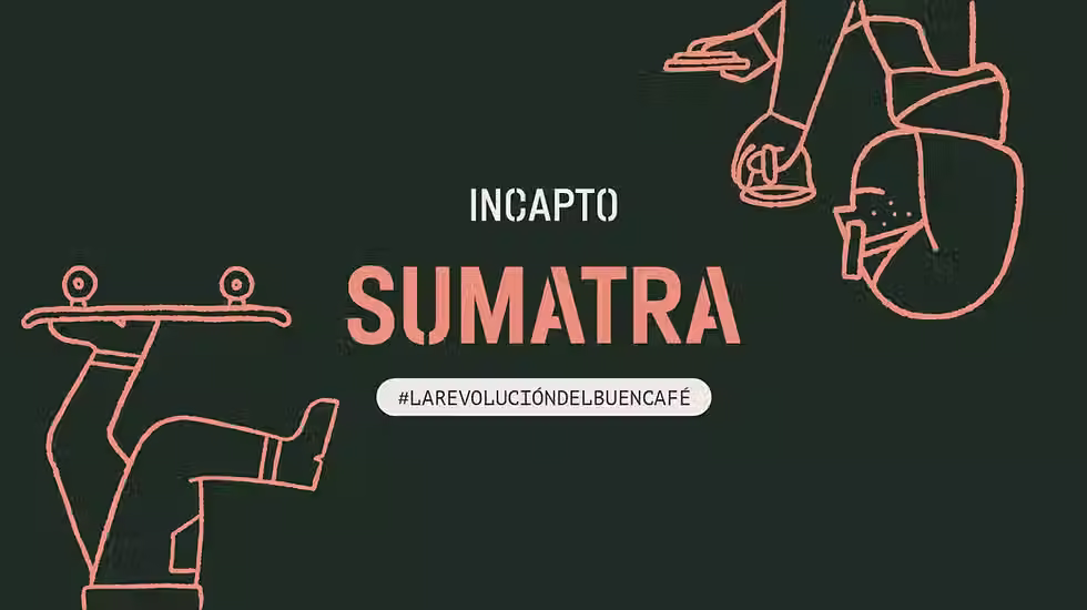 Branding para startups en fase early-stage con enfoque en percepción profesional y escalabilidad