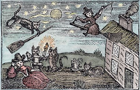 Cat on a broomstick