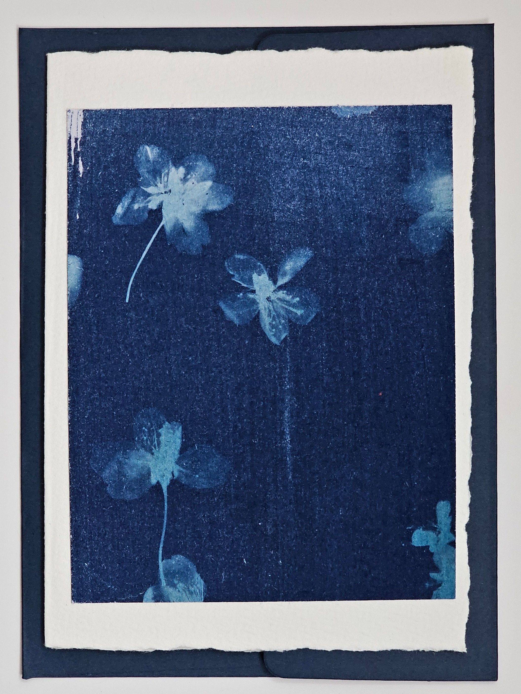 Cyanotype Greeting Cards