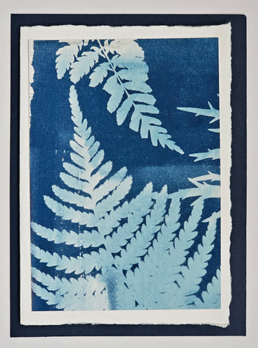 Cyanotype Greeting Cards | DipTee