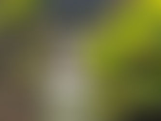 Unlocking the ROI of Local IoT: Boosting Supply Chain Resilience with Level 2 B-BBEE Partners in South Africa