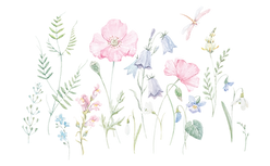 AdobeStock_184390976-[Converted]_edited.