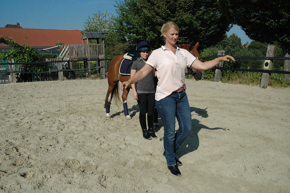 Physiotherapie für Reiter, Sitzschulung, Bewegungstraining, Seminare für Reiter, Bianca Kaiser