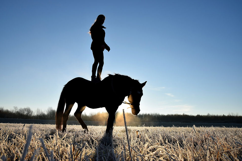 Wie finde ich meine innere Balance um meinem Pferd Sicherheit zu geben, dass wir auf dem Turnier erfolgreich sind? Persöhnlichkeitsentwicklung im Reitsport. Erfolgreiche Turnier-Saison