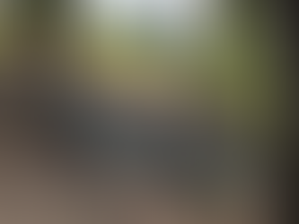 Winning in Black Hawk