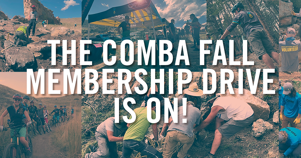 Oct Drive Webpage Banner image.png