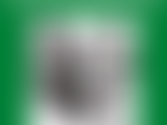 It Is NEVER The Dog's Fault