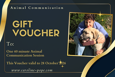 Gift Voucher.png