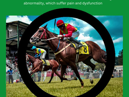 Don't Support Animal Cruelty