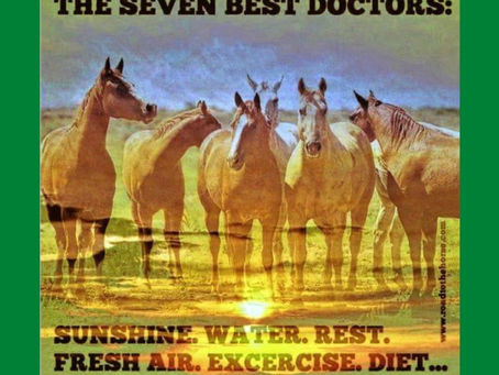 The Seven Best Doctors