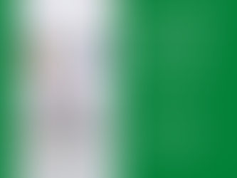 Feline Craniosacral Therapy