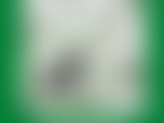 What Do You Call Your Dog?