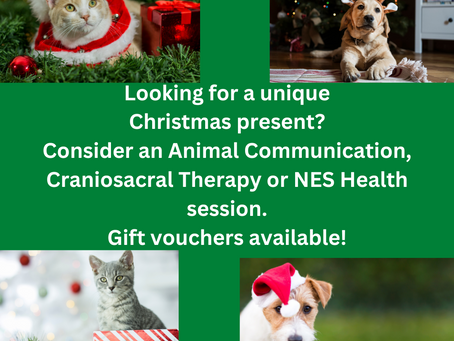 Gift Vouchers For Christmas!