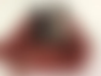 Orthopaedic Dog Beds