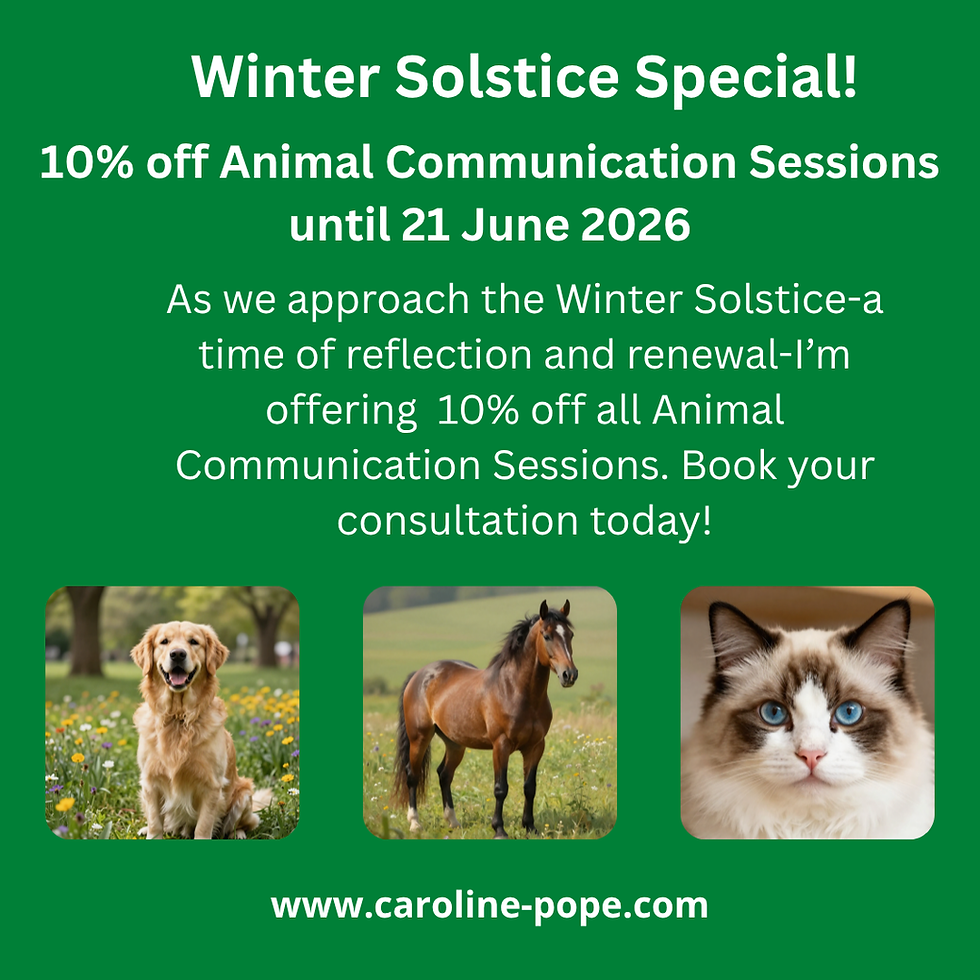 Winter Solstice Special