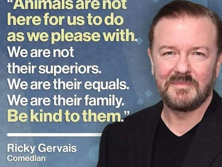 Well Said!