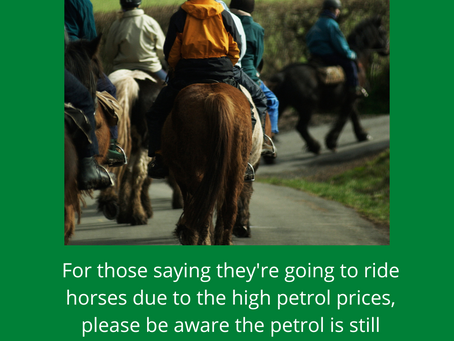 Petrol Vs Pony