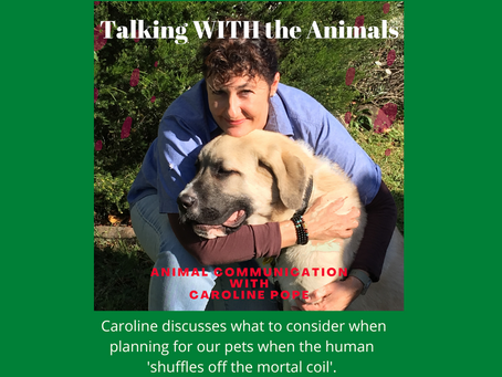 Planning For Our Pets