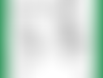 The Reality Of A Canine Companion