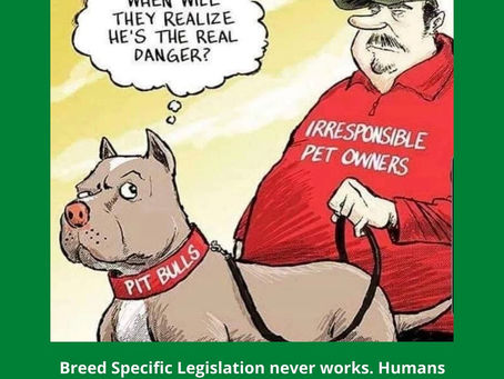 Breed Specific Legislation