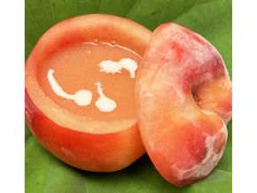 「桃の会 2024」のお知らせ