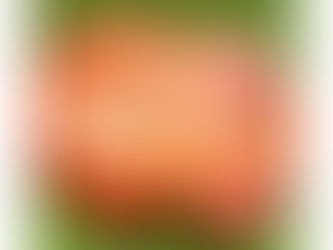 「桃の会 2024」のお知らせ