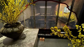 ◆レンギョウ花尽くしの会2025◆