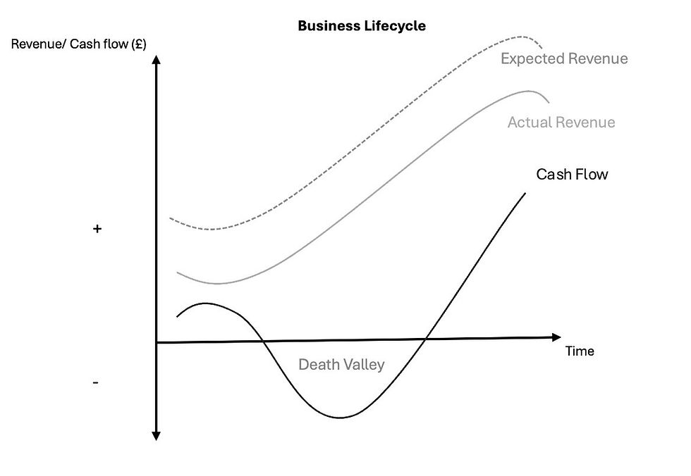 Death Valley - 3 Reasons why Businesses fail